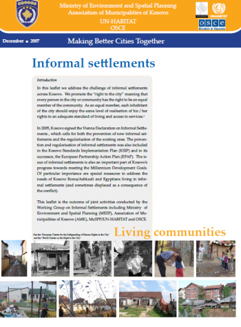 informal settlements essay